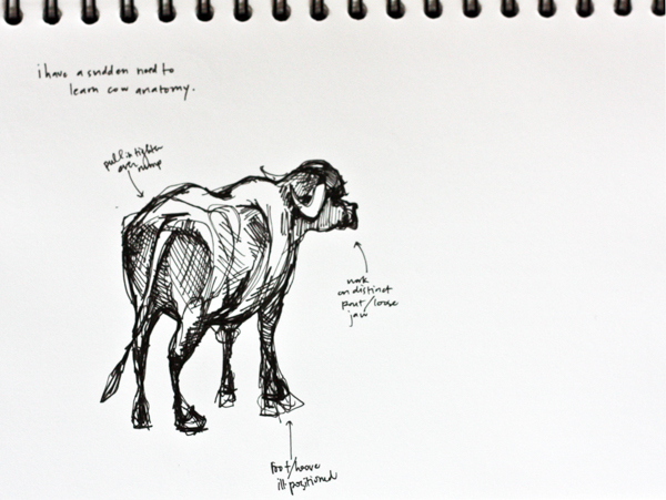 India cow sketch
