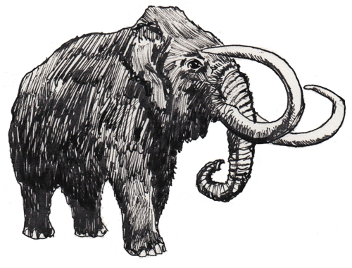 wooly mammoth-3